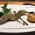 北新地 鮨 なか川 - 