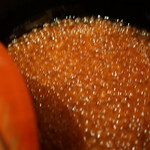 さ行 - 2016年10月_こんなにいくらが！！