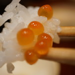 さ行 - 2016年10月_いくらご飯のドアップ