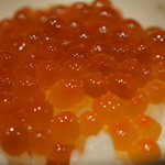 さ行 - 2016年10月_いくらかけ放題