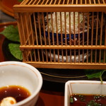 さ行 - 2016年10月_刺身が虫かごの中に．．．