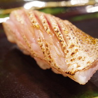月の木 - カマス