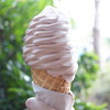 Anandapur Ice Cream Truck - 料理写真:Soft-serve Waffle Cone ($3.99)