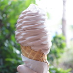 Anandapur Ice Cream Truck - 料理写真:Soft-serve Waffle Cone ($3.99)