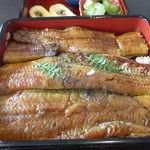 日本料理 竹生島 - 鰻遊膳　なんだこの大きさは(@_@)　１匹半以上はあるか？　でもなんだか関東風に見える