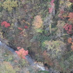 そば哲 - 新登別大橋からの眺め