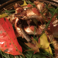 赤坂 菊乃井 - 