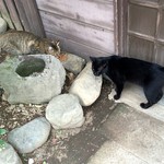 蕎遊庵 - お食事中でしたかぁ（笑）