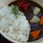 道の駅 富士吉田 軽食コーナー  - ミニカレー
