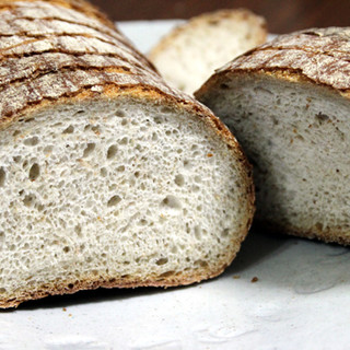 ブラントフレックベッカー_1