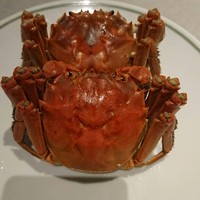 中国飯店 富麗華 - 上海蟹の蒸し物（メス）
                    