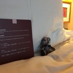 CONRAD CENTENNIAL SINGAPORE - クマちゃんが先にベッドでお待ちかね。持ち帰り可・・(^.^)　