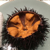 天駒 - 