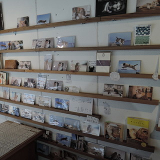 フクロウコーヒー_2