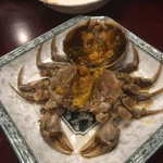 趙楊 - 老酒酔蟹/老酒漬け上海蟹