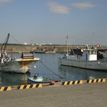 Meshiya Ooisokou - 目の前が大磯漁港