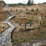 何時も庵 - 箱ノ森散歩道　時には里山の風景と山野草を楽しみながら「883歩」歩いてみませんか