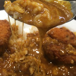 カレーハウスCoCo壱番屋 - 