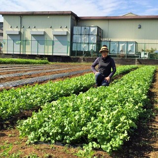 調味料やスパイスにもこだわりを
