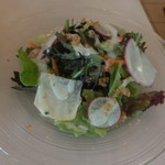 マジカメンテ ビバッコ - ランチ　サラダ