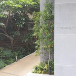 レフェルヴェソンス - 