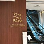 Pine Tree Bless - 