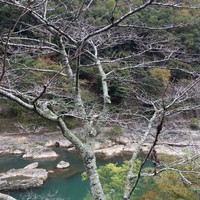 星のや 京都 ダイニング - 