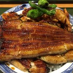 Unagi Kazutomo - 