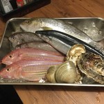 REGALO - 築地から鮮魚も入荷中