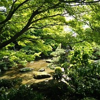 がんこ 高瀬川二条苑 - 
