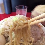 ラーメン 鷹の目 獨協大学前本店 - 麺アップ