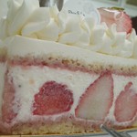 シンフラ - SSC 苺のショートケーキ