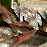 串もん利げん - サンマ刺し（アップ）