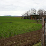 看板越しに店。