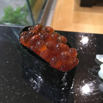 鮨松榮 - 生いくら