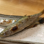 鮨松榮 - 本ししゃも