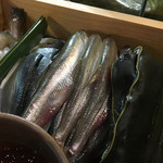 鮨松榮 - 本ししゃも