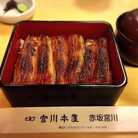 宮川本廛 赤坂宮川 - 