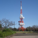 ガスト - 湘南平のテレビ塔