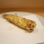 天冨良 いわ井 - 「ヤングコーン」