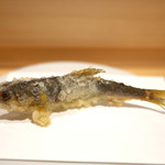 天冨良 いわ井 - 「若鮎」三重県宮川の天然の鮎