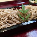 Teuchi Soba Katou - お蕎麦のアップ