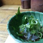 季節料理 藤原 - 生しらす！