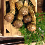 うを徳 - 長野県辰野産松茸 今季一