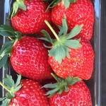 雪みるく - パインベリー 600円