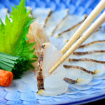 海鳗烤霜刺身 (夏季限定)