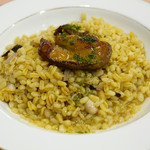 サラマンジェ ド イザシ ワキサカ - フォアグラ・トリュフ・マッシュルームのブレゾット