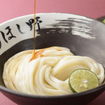 Raw soy sauce udon (cold)