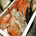 ビストロ ビンゴ - 直送、天然鮮魚