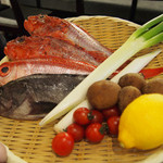 俺の魚を食ってみろ!! - 旬見せ鮮魚